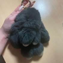 Брелок (заяц), в Выборге