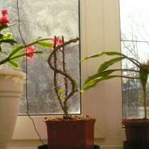 Установка, замена дверных замков, в Туле