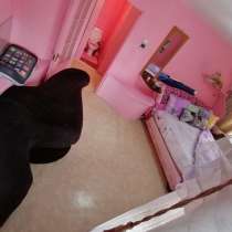 ! Хозяин! (пишите на WhatsApp) Стрелка! ул. Лихарева 11, в г.Усть-Каменогорск