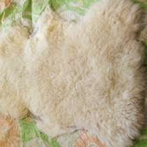 Шкуры овечьи, в Волгограде