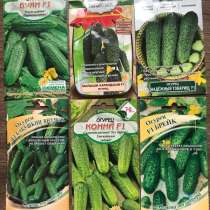 Рассада огурцов и семена, в Щербинке