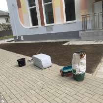 Газонные семена, в Краснодаре
