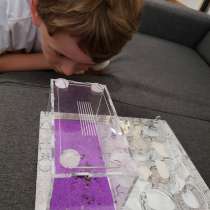 Отдам в добрые руки, в г.Бухарест