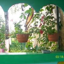 Продам дом с участком в Подмосковье!, в Москве