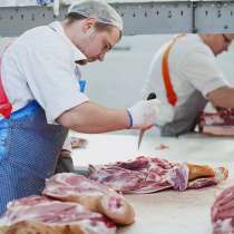 Разнорабочий вахта/Воронежская область, в Липецке