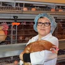 Грузчик/птицефабрика/3-х развое питание, в Ульяновске