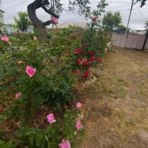 Меняю дом в Крыму(Евпатория, Кишинев, города Крыма), в Евпатории