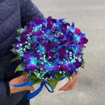 Орхидея, в Москве