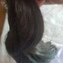 Продажа срез детские волосы, в Краснодаре
