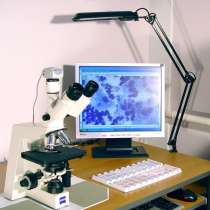 Аудит любых объектов документов, в Москве