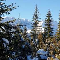 Черногория, Участки земли, в новом проекте эко поселения, в г.Подгорица