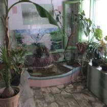 Дом в Медвенке, в Курске