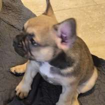 На продажу, в г.Petah Tiqwa