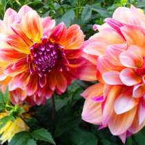 срочно куплю 1-к квартиру на Гайве, в Перми