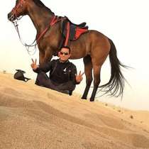 Конный спорт(тренер), в г.Шарджа