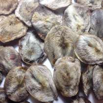 Куплю Струю кабарги Иркутск продать прием цена, в Иркутске