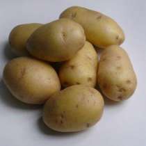 Продажа реального бизнеса по производству картофеля, в Великом Новгороде