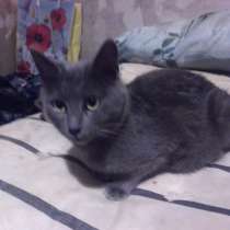 Звёздочка.1.5.года замечательная хорошая мать как оказалась, в Москве