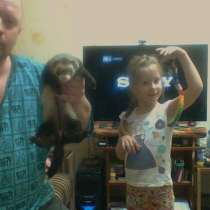 Продам хорька, в г.Мариуполь