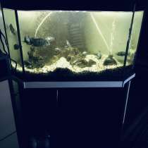 Продаю аквариум 115 лит, в Москве