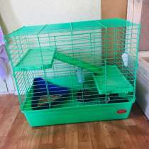 Клетки, в Череповце