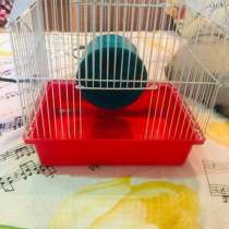 Клетка, в Самаре