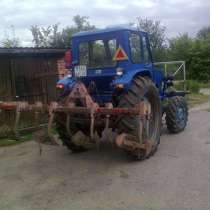 Окучник, в Калининграде