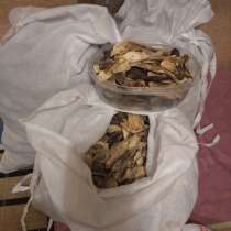 Сушеные грибы, в Санкт-Петербурге