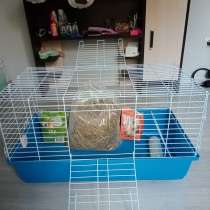 Клетка, в Нижнем Новгороде