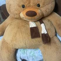 Плюшевый медведь, в Барнауле