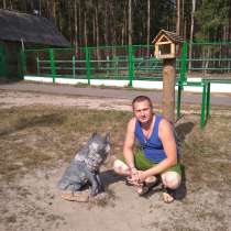 Анатолий, 35 лет, хочет пообщаться – Анатолий, хочет пообщаться, в Орле