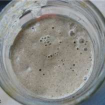 Закваска ржаная, в Каменске-Уральском