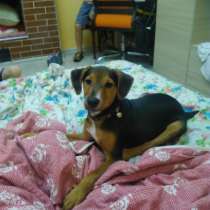 Андрей, 46 лет, хочет пообщаться, в Симферополе