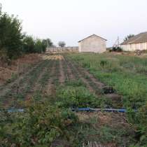 Сдается земля с/х назначения, в Джанкое