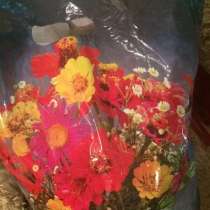 Пакет одежды, в Семикаракорске