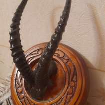 Рога вешалка для головных уборов, в Москве