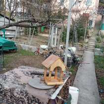 Кормушка, в Новороссийске