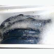 Пищевые ящики из пенопласта, в Ростове-на-Дону