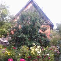 Участок, дача, в Кемерове