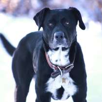 Девочка Ляля ищет дом, в Мытищи