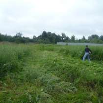 Покос травы, бурьяна, сухостоя. Расчистка участка, в Пушкино