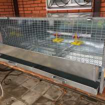 Брудеры для выращивания цыплят, перепелов, в Подольске