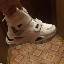 Красавки зимние, в Шахтах