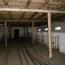 Действующая ферма, в Челябинске