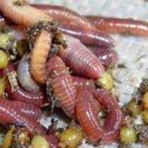 Оператор ПК / удаленно, в Москве