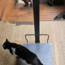 Весы напольные электронные Меркурий 330  Меркурий 330, в Челябинске