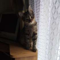 Маленькая фотомодель, в Москве