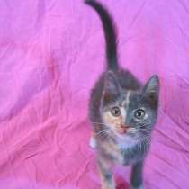 !!!Yes, yes, i love you! И я жить без тебя не могу!!!, в г.Усть-Каменогорск