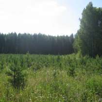 10 ГА за 500 т. р, в Екатеринбурге