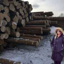 Лес кругляк сибирский кедр, в Кемерове